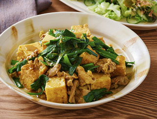 写真：厚揚げと豚肉の和風カレー煮